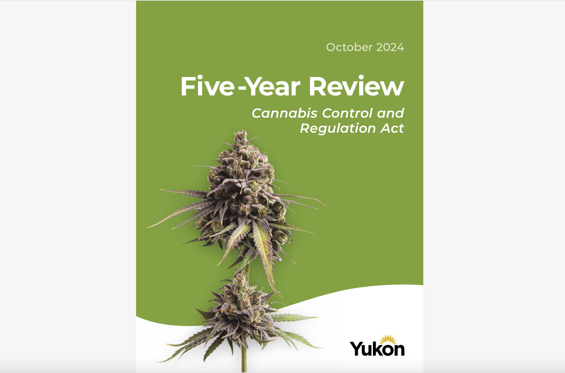 Cinq ans après la légalisation, la consommation de cannabis au Yukon est plus élevée ; la plupart achètent légalement