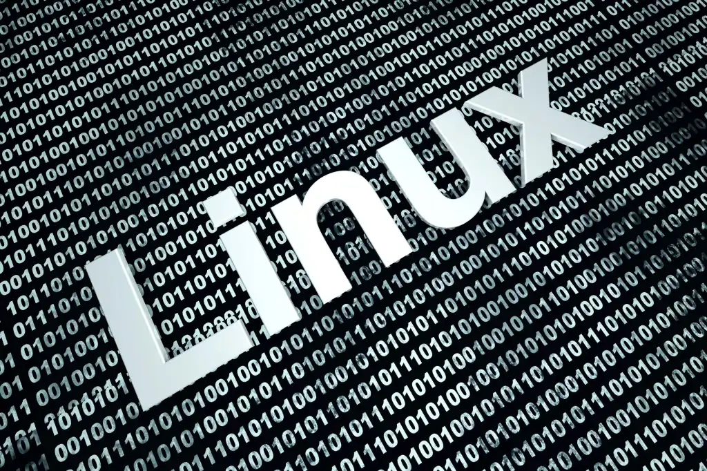 linux code binary Linux source code with a binary background. 3D rendered Illustration.