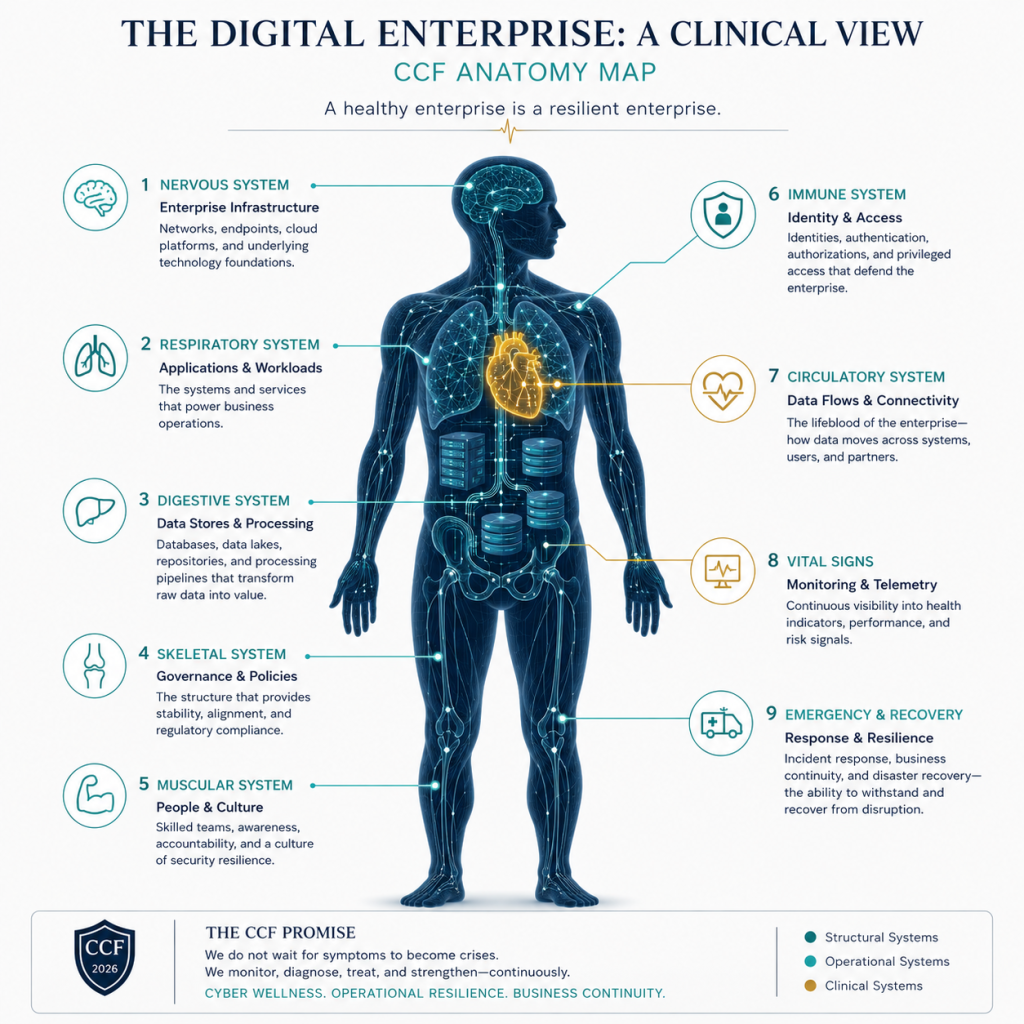 L'entreprise numérique : vision clinique. Une carte anatomique du cadre de cybersécurité clinique