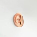eavesdropping, listening, Ear on a white cardboard