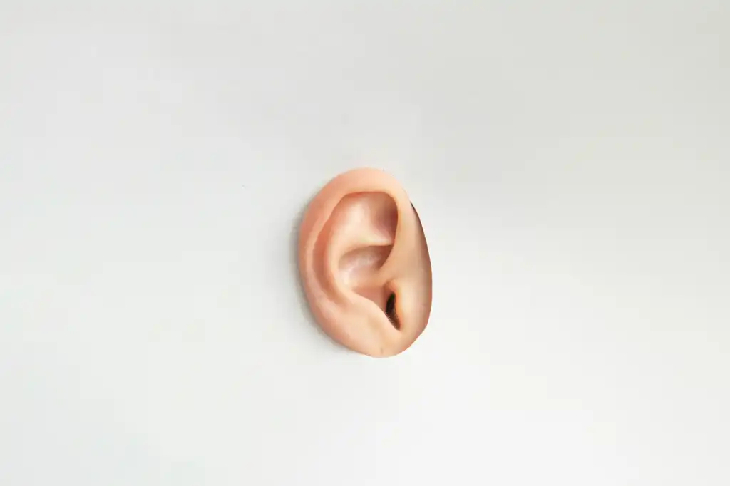 eavesdropping, listening, Ear on a white cardboard