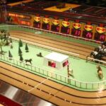 A picture of the Sigma Derby casino game