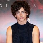 A picture of Timothee Chalamet