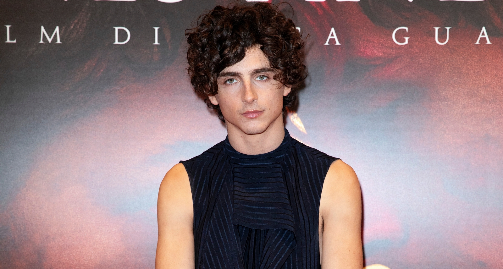 A picture of Timothee Chalamet