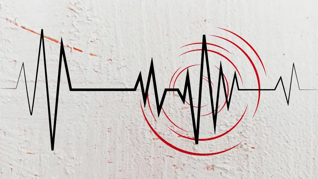 earthquake sign seismic richter scale