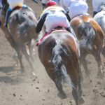 A picture of horse racing