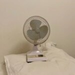 OnlyFan