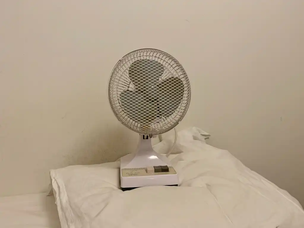 OnlyFan
