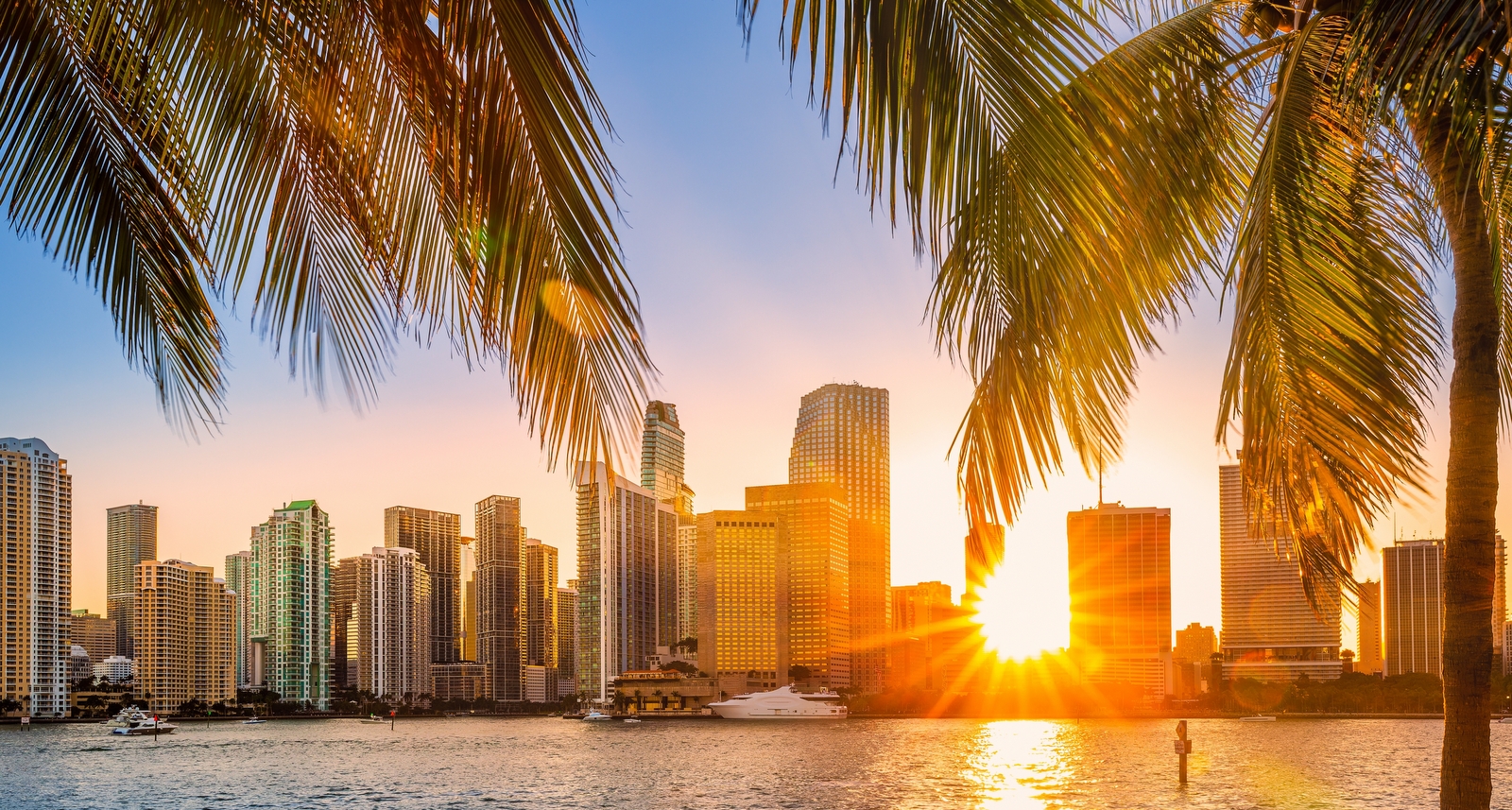 A picture of the Miami skyline