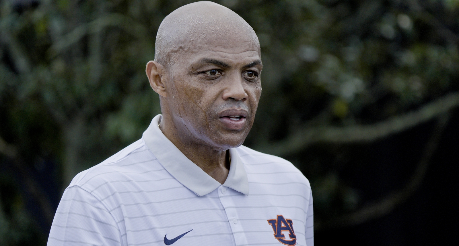 A picture of Charles Barkley
